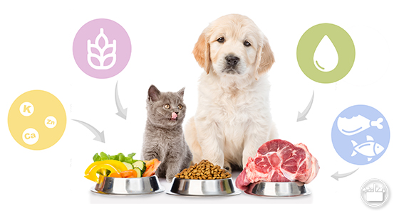 Alimentación premium para perros y gatos en Alcorcón